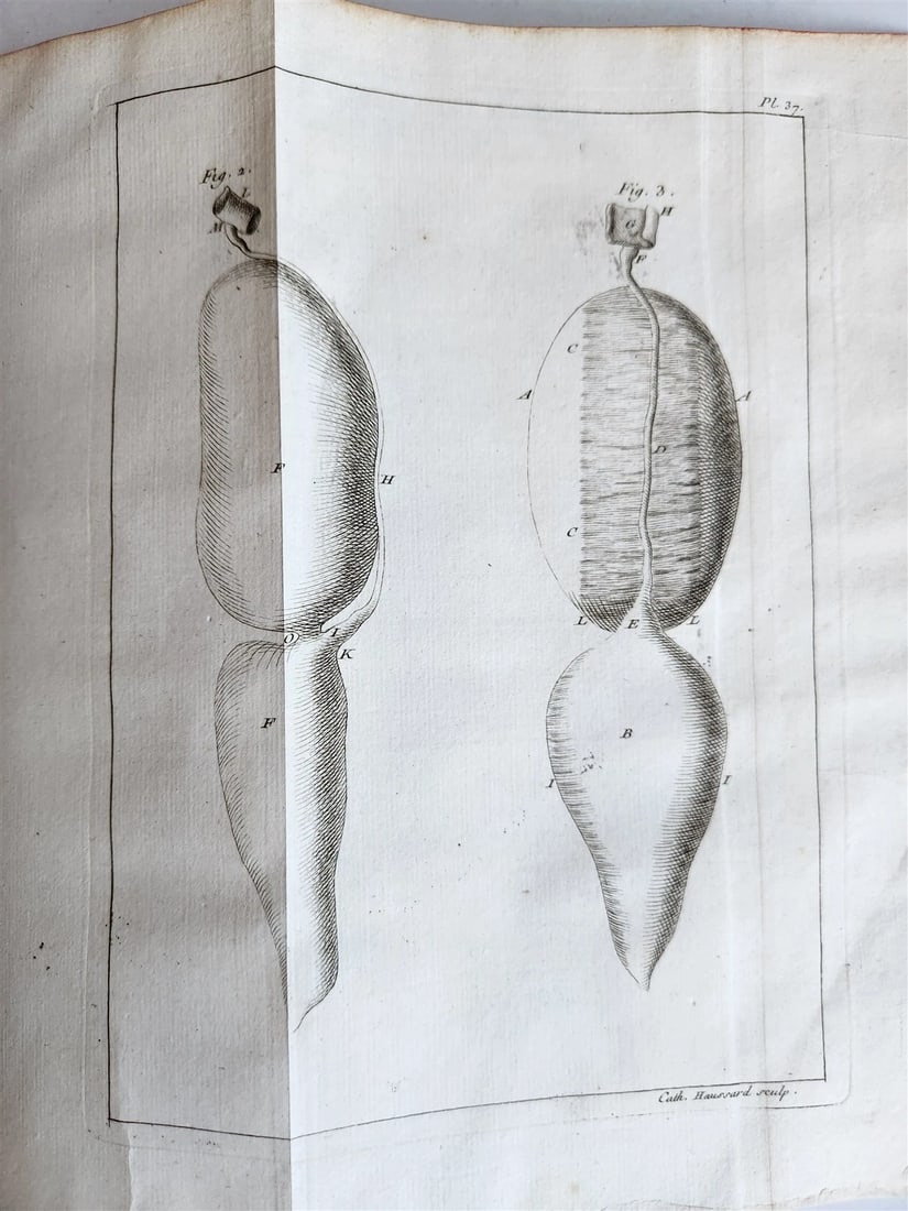 1749 MEDICAL TREATISE ILLUSTRATED ANATOMY by Francois PLANQUE antique V. 2 - 11