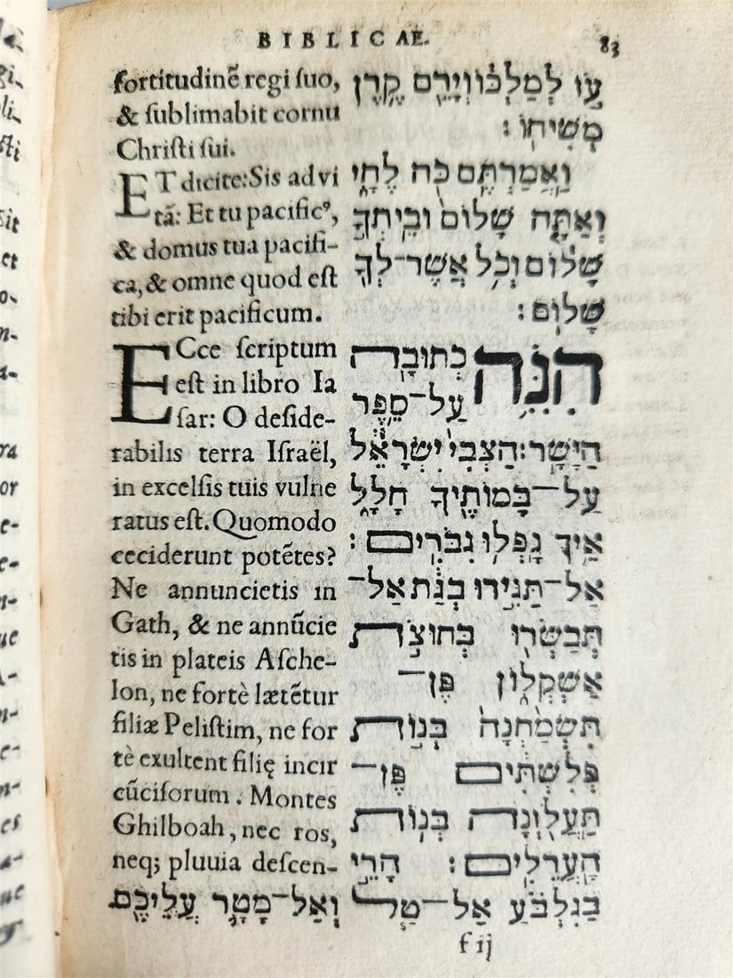 1554 BIBLE in Hebrew Latin & Greek antique SCARCE - 6
