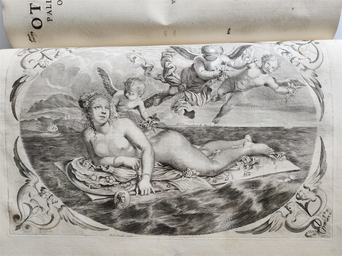 1673 SAXONY & BAVARIA HISTORY ILLUSTRATED FOLIO antique PIGSKIN BINDING - 13