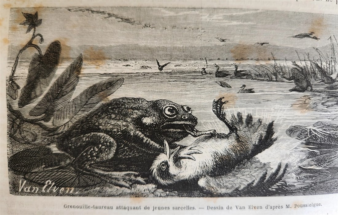 1870 HISTORY of VOYAGES ILLUSTRATED antique CROATIA BOSNIA INDIA FLORIDA AFRICA: Title: 1870 HISTORY of VOYAGES ILLUSTRATED antique CROATIA BOSNIA INDIA FLORIDA AFRICA Description: LE TOUR DE MONDE Nouveau Journal des Voyages. Publie sous la direction de E.Charton. [Published unde