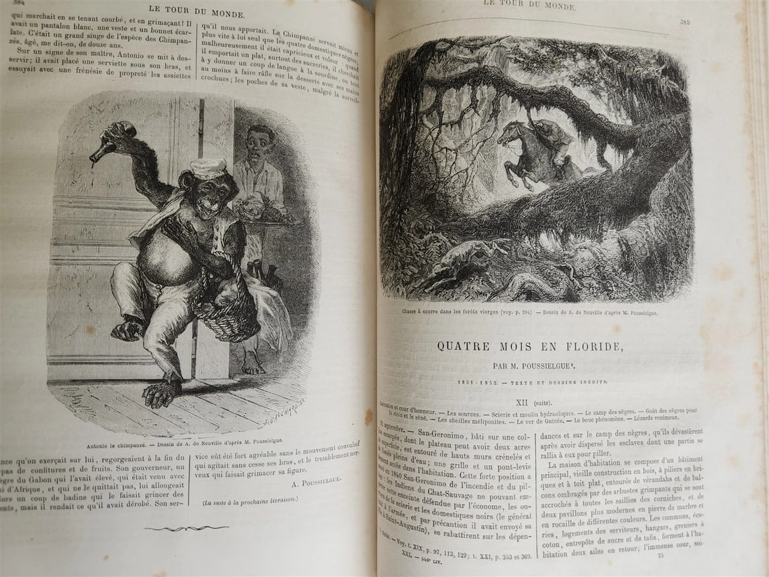 1870 HISTORY of VOYAGES ILLUSTRATED antique CROATIA BOSNIA INDIA FLORIDA AFRICA - 3