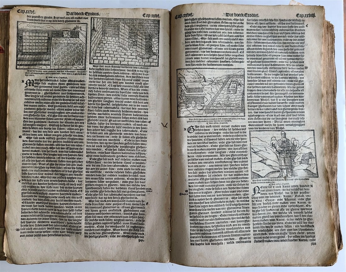 1565 BIBLE in DUTCH ILLUSTRATED 16th CENTURY antique FOLIO VELLUM BOUND rare - 5