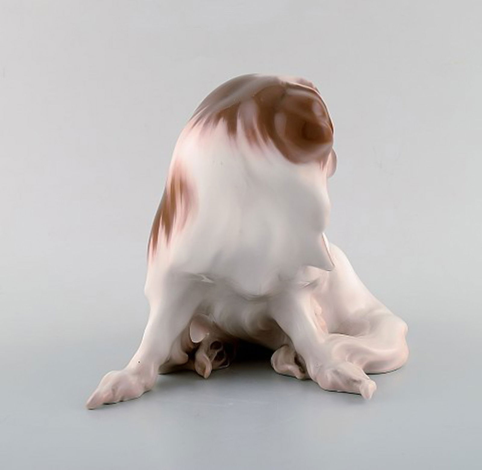 Rare Bing & Grondahl / B&G figurine in porcelain. Pekingese. Model number 1637. - 2