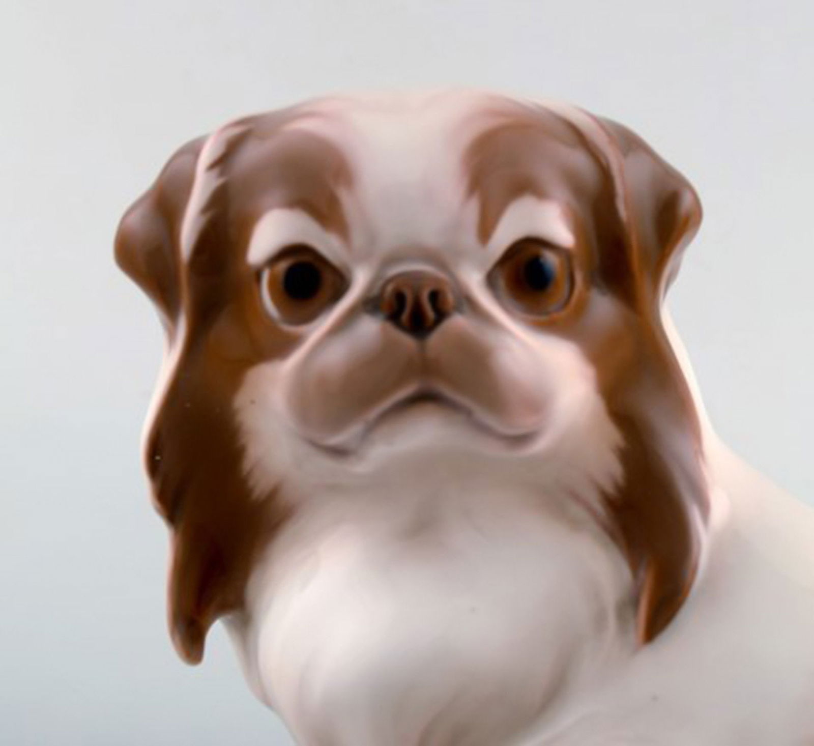 Rare Bing & Grondahl / B&G figurine in porcelain. Pekingese. Model number 1637. - 5