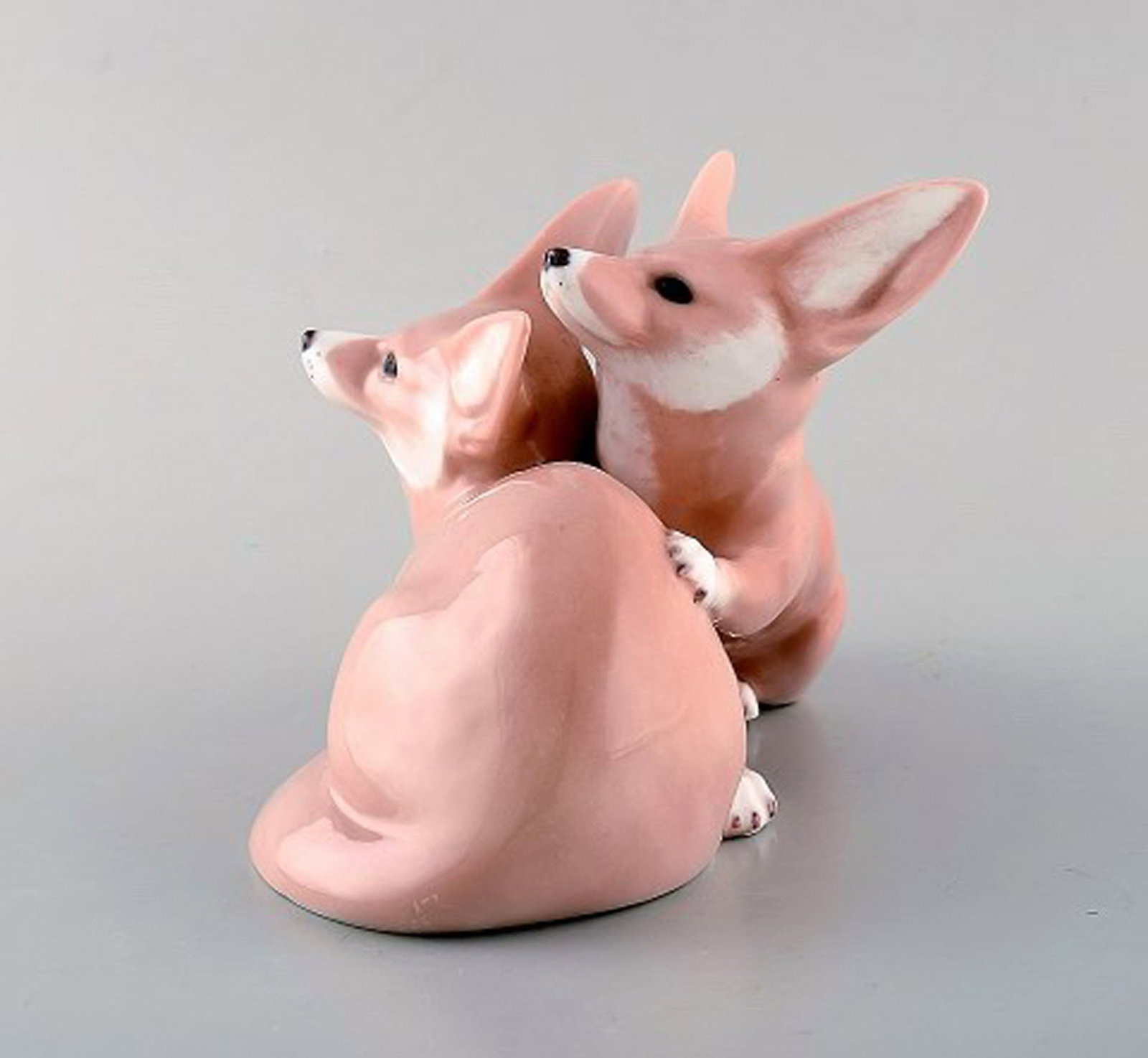 Royal Copenhagen No. 319 - Modelled by Christian Thomsen in 1901. Pair of Desert Foxes. - 3