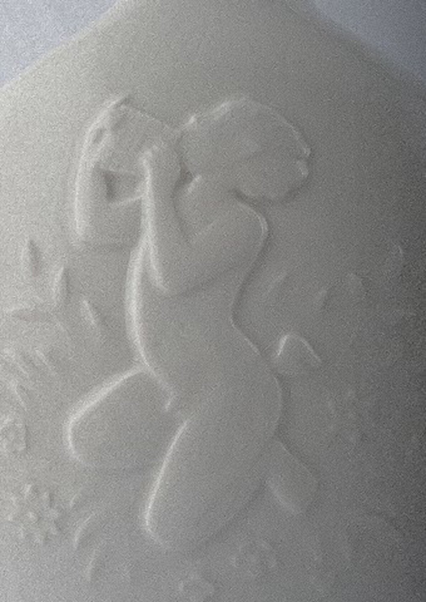 Royal Copenhagen blanc de chine vase, naked women in relief. - 3