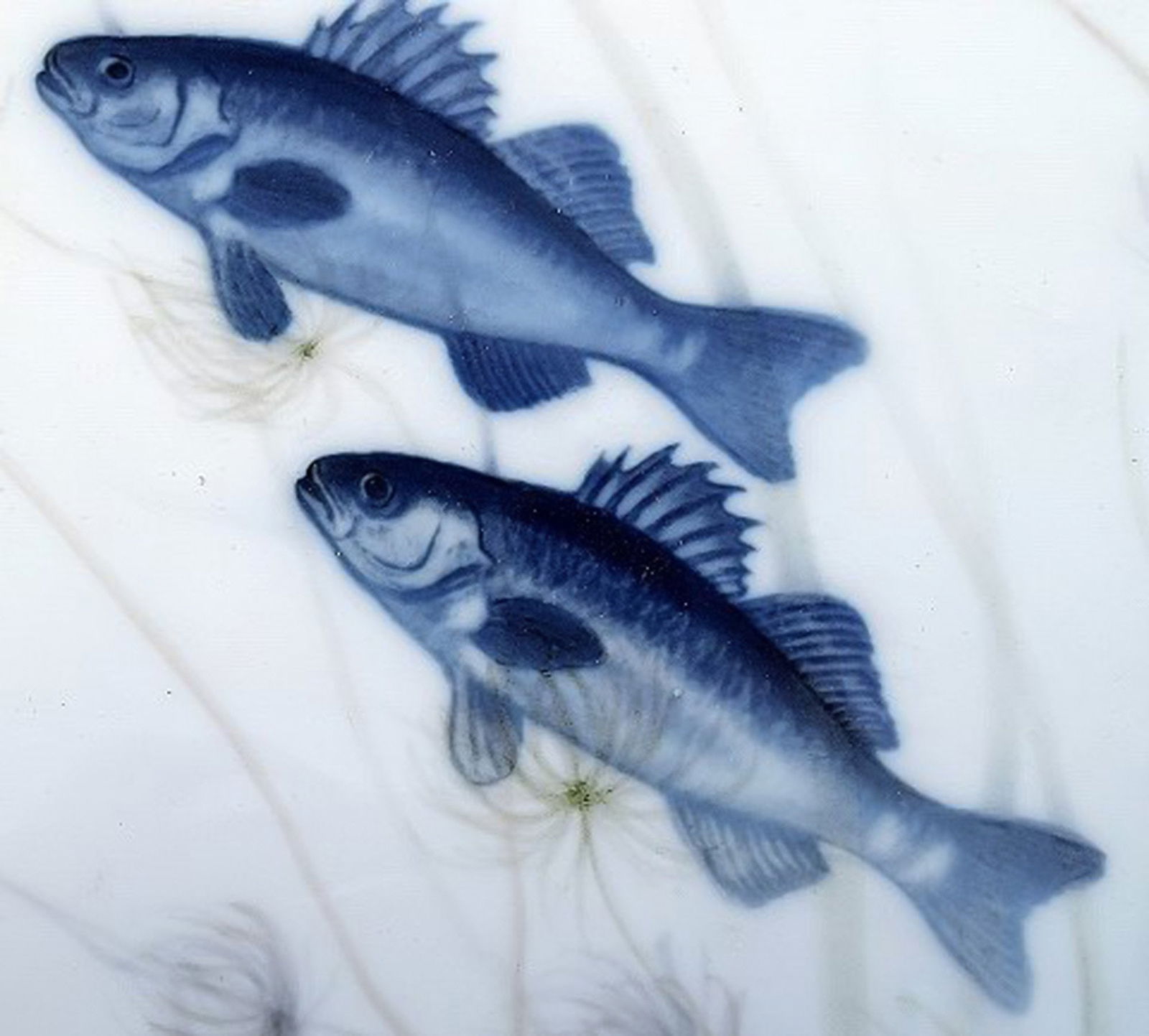 Arnold Krog for Royal Copenhagen: "Fish service" porcelain very large oval fish dish decorated in - 5