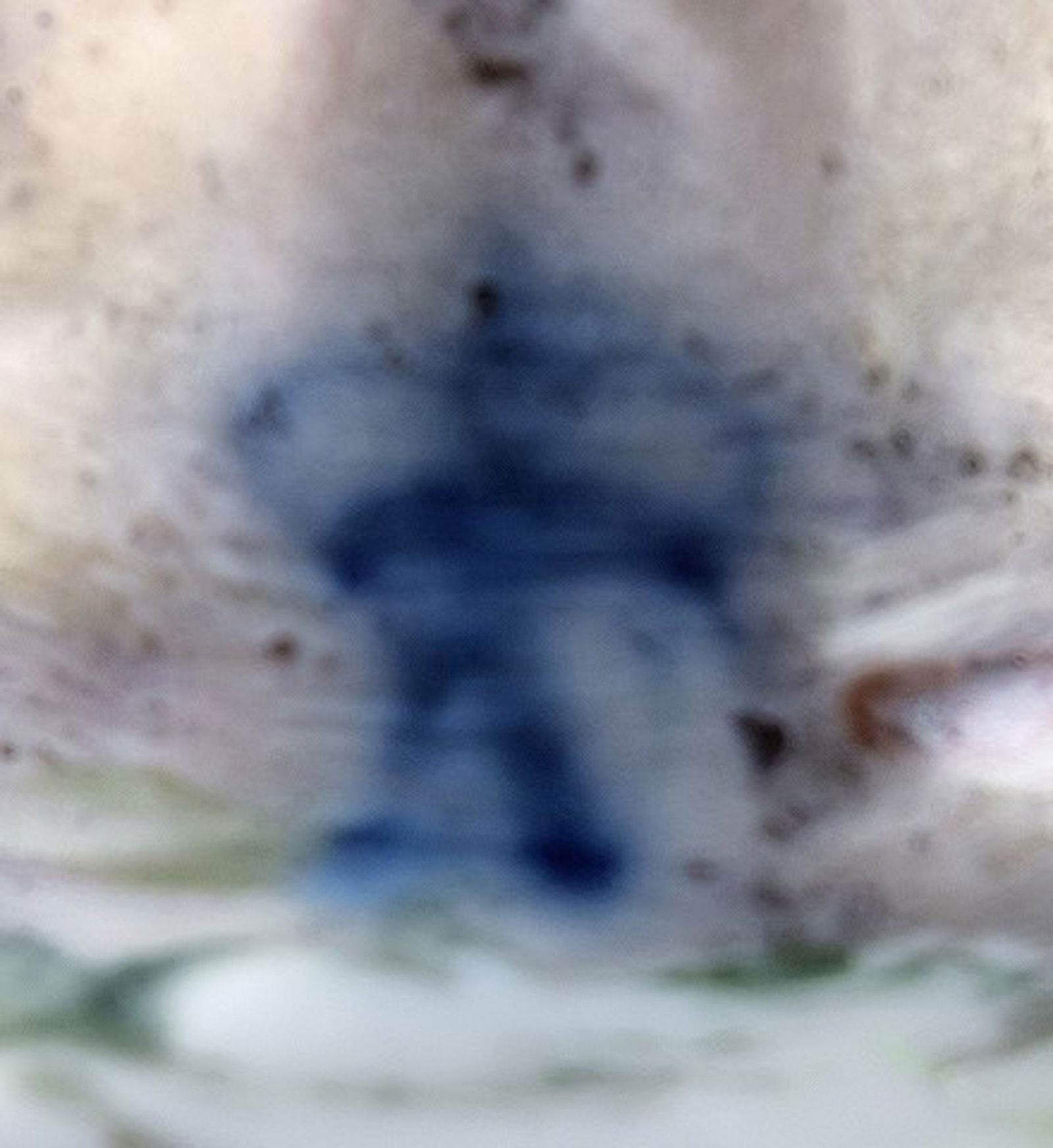 Large Italian Capodimonte porcelain figure group. - 4