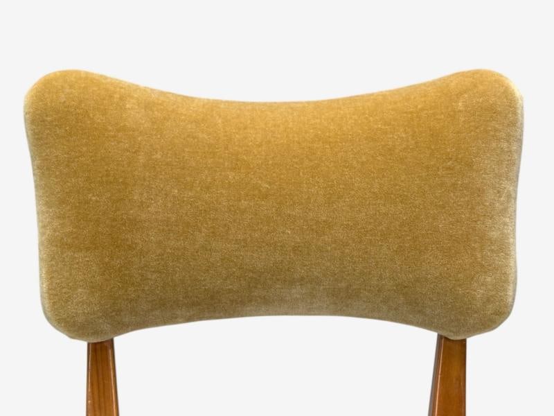 Guglielmo Pecorini, Stained Wood, Camel Mohair, Low Lounge Chair, Italy, 1950s - 6