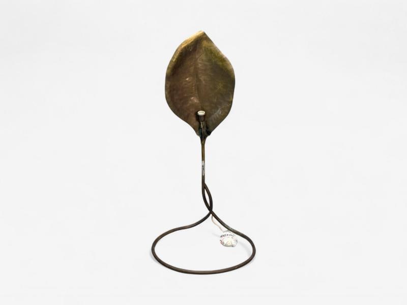 Tomasso Barbi, Patinated Brass, Ginko Leaf Floor Lamp, Italy, 1970s - 9