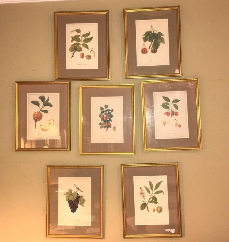 Set of Seven Botanical Prints of Fruit Signed Peter Drafet - 3
