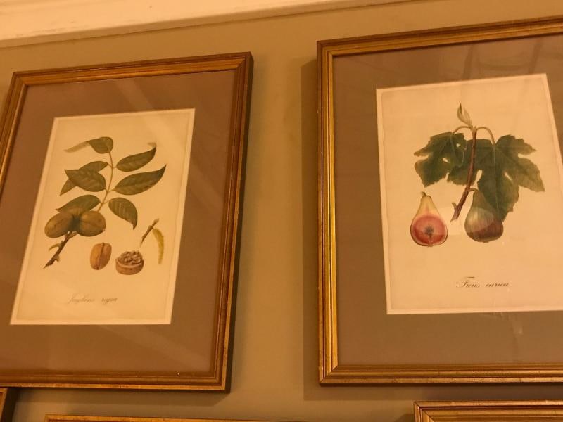 Set of Seven Botanical Prints of Fruit Signed Peter Drafet - 9
