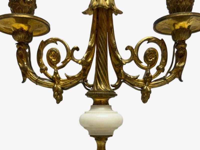 Louis XVI Style, Dore Bronze, Marble, Candelabras, France, 19th c. - 4