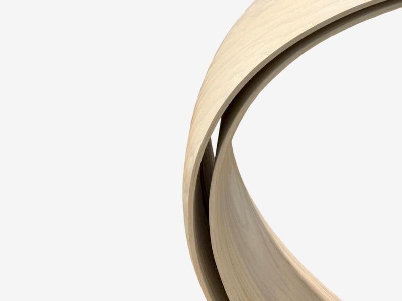 Adam Bentz, Contemporary, Ashwood, Organic Chandelier, LED, USA, 21st C. - 7