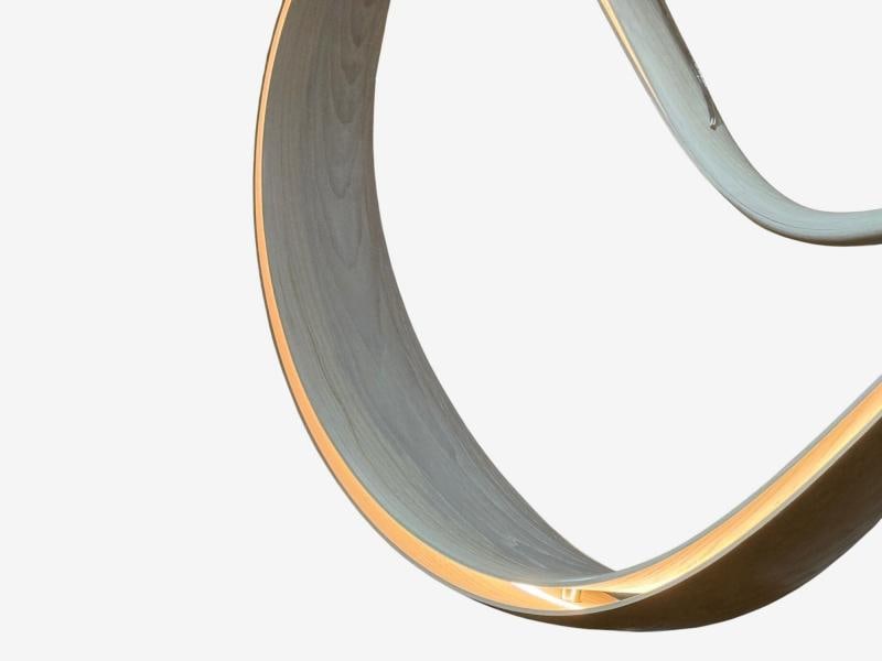 Adam Bentz, Contemporary, Ashwood, Organic Chandelier, LED, USA, 21st C. - 8