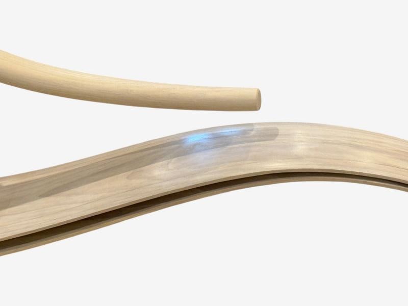 Adam Bentz, Contemporary, Ashwood, Organic Chandelier, LED, USA, 21st C. - 9