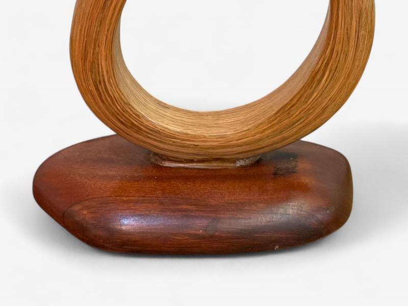 Raka Studio, Contemporary, Organic Modern, Flower Table Lamp, Bentwood, 21st C. - 6