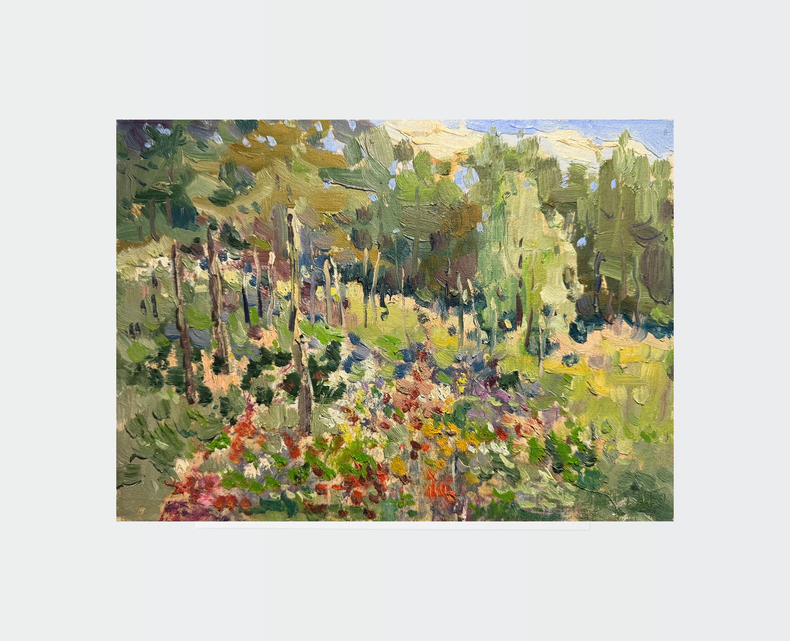 Oil painting An overgrown vegetable garden K. Leonid - 2