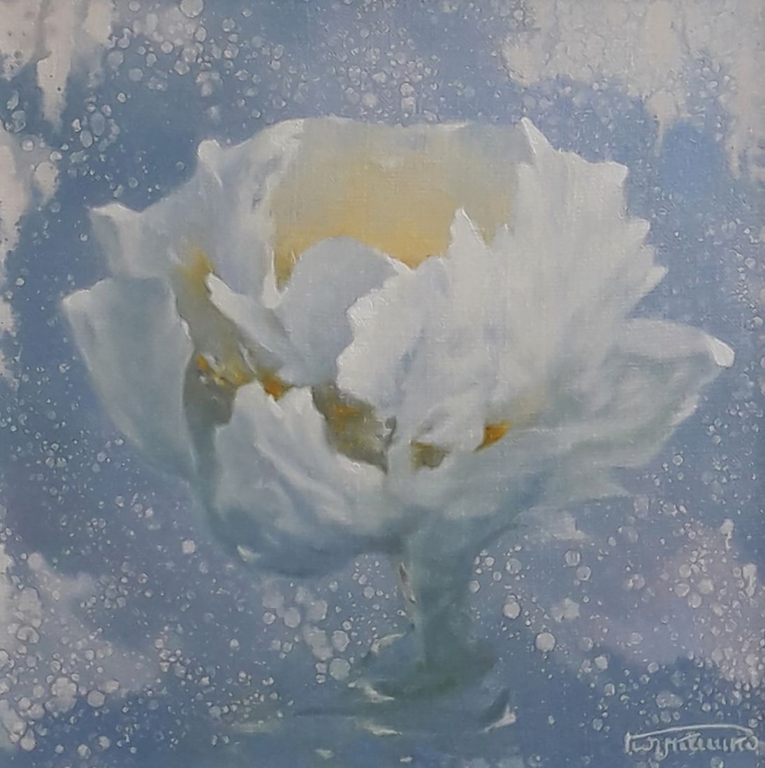 Oil painting Delicate white flower Vasily Korkishko - 2