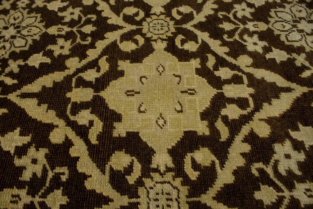 Brown Floral 5'7X8'9 Transitional Oriental Rug - 8