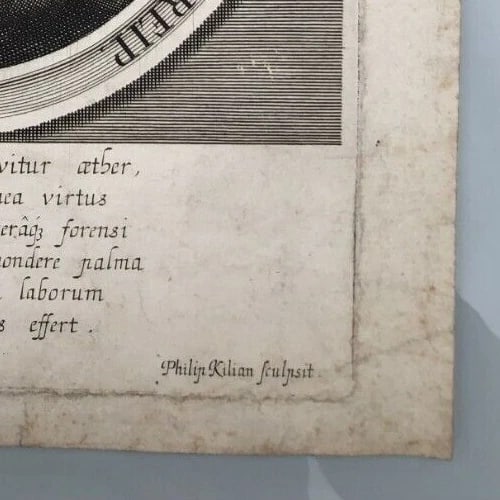 Antique Etching Original Man Portrait, David Haufman, Georg Schultz - 6