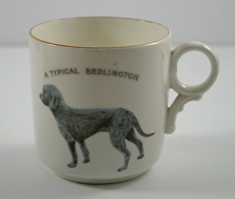Bedlington Terrier Dog China Cup Saucer Dated 1911 - 2