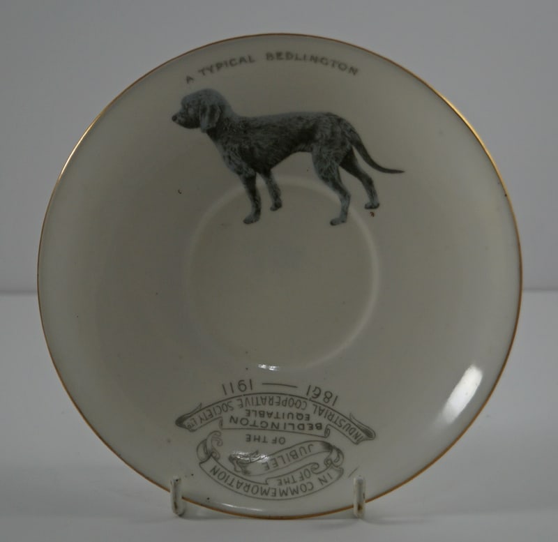 Bedlington Terrier Dog China Cup Saucer Dated 1911 - 5