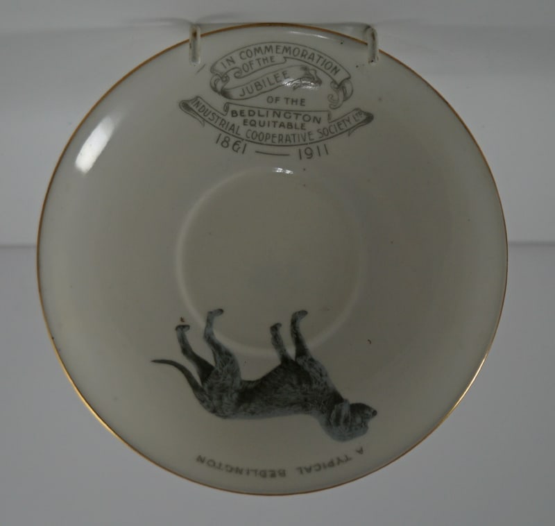 Bedlington Terrier Dog China Cup Saucer Dated 1911 - 6