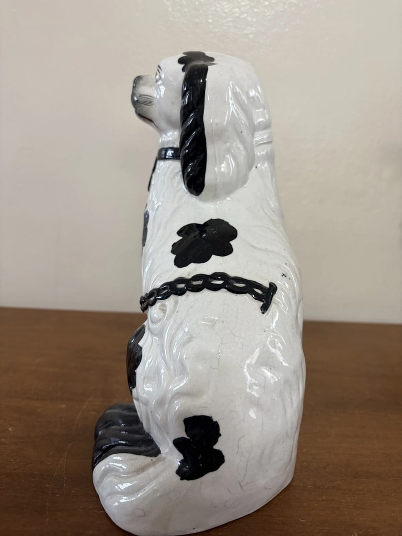 Pr Black & White Staffordshire Spaniel Dogs - 10