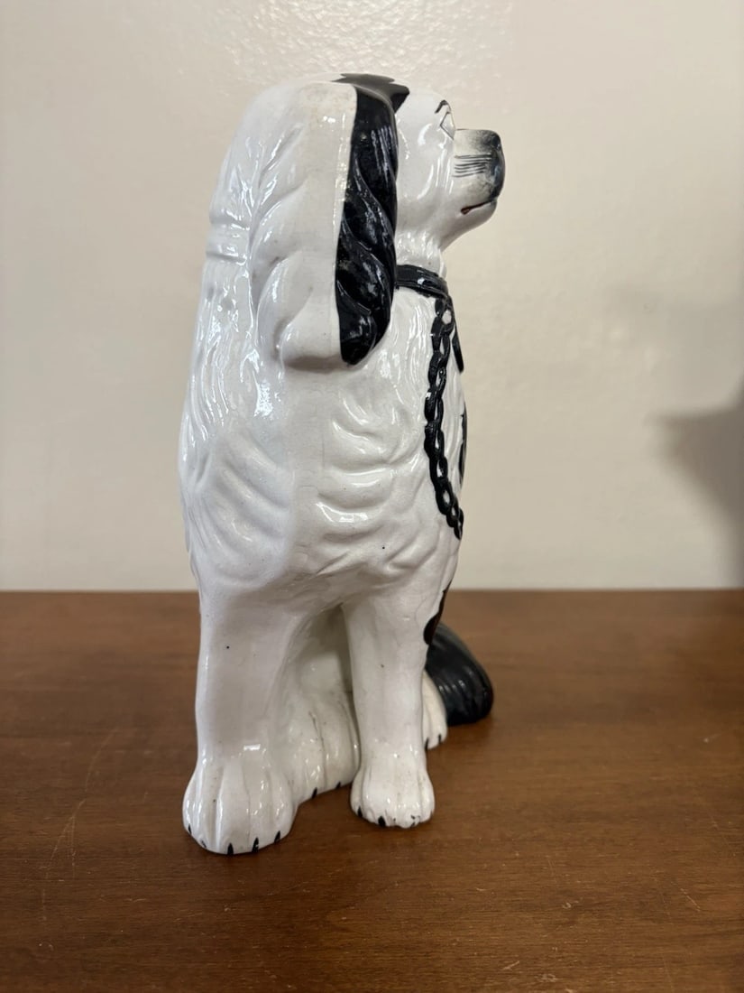 Pr Black & White Staffordshire Spaniel Dogs - 12