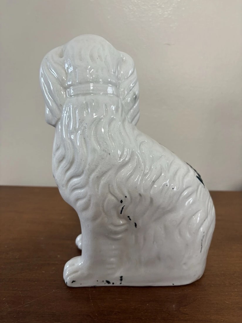 Pr Black & White Staffordshire Spaniel Dogs - 4