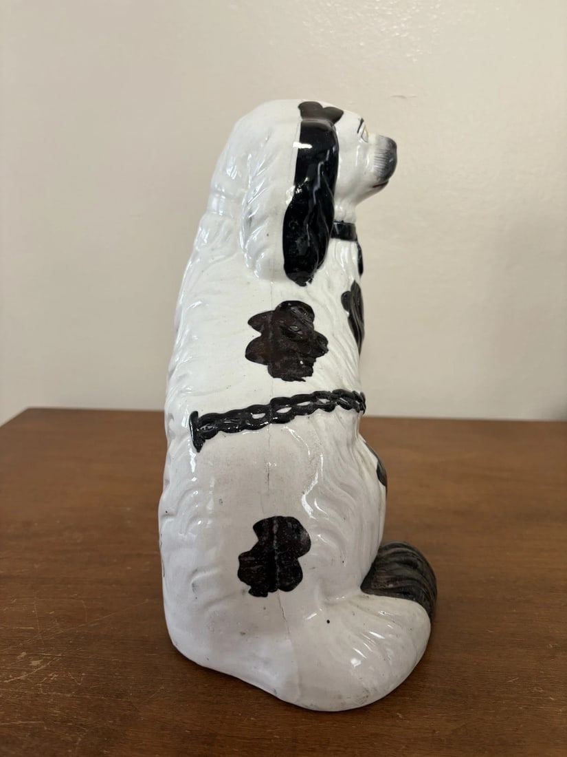 Pr Black & White Staffordshire Spaniel Dogs - 5