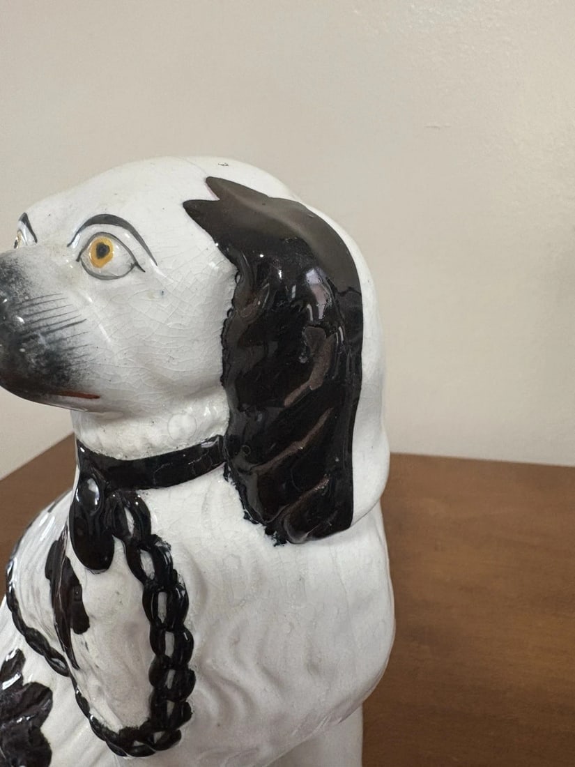 Pr Black & White Staffordshire Spaniel Dogs - 8