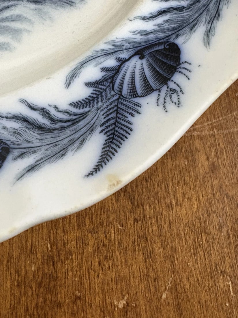 Cauldon Flow Blue Fish Plate - 2