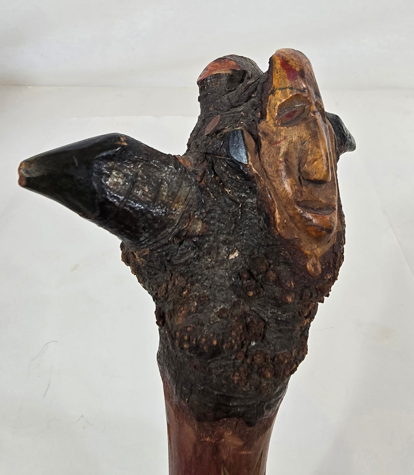 Penobscot root club - 3