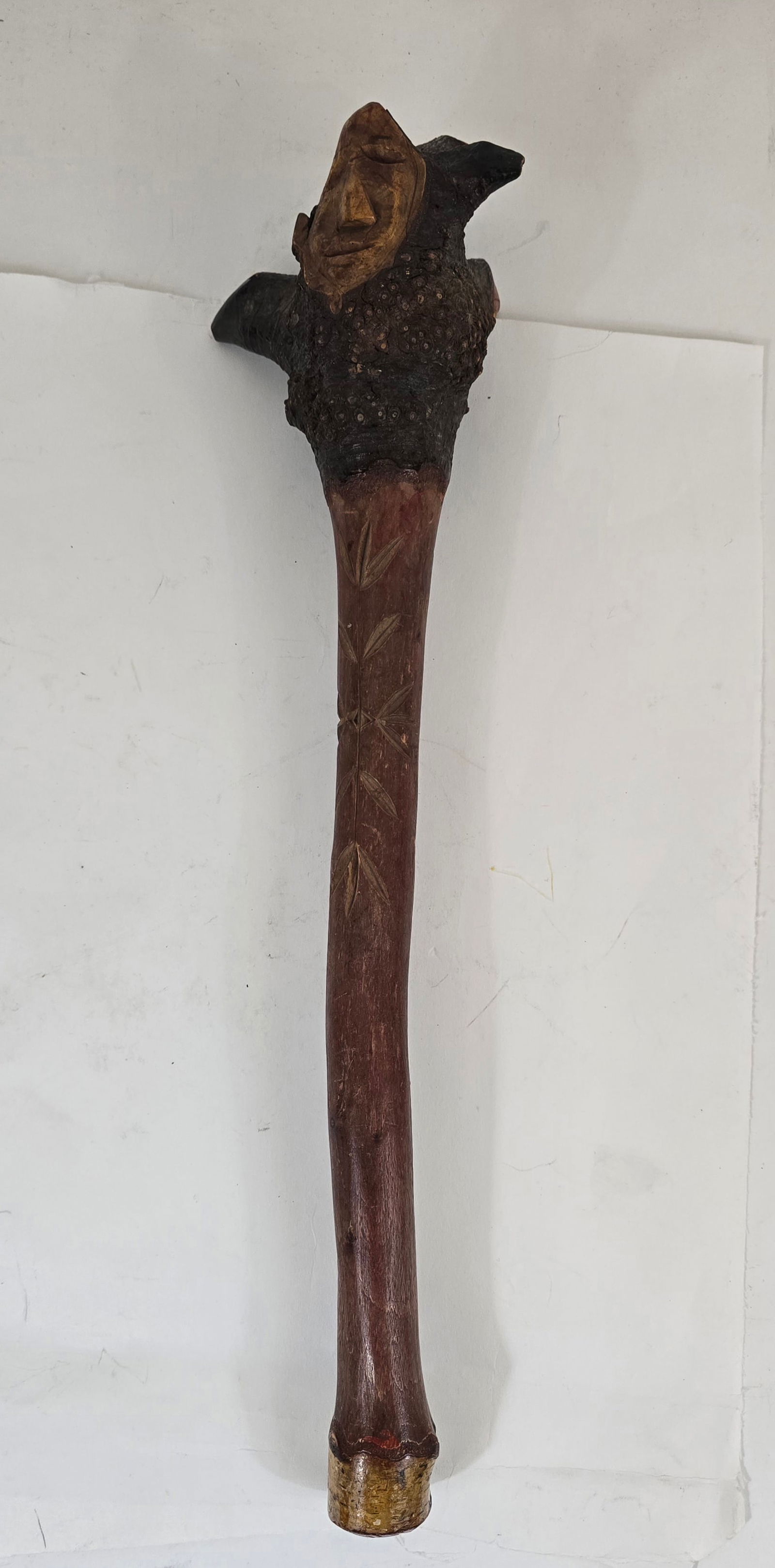 Penobscot root club - 4