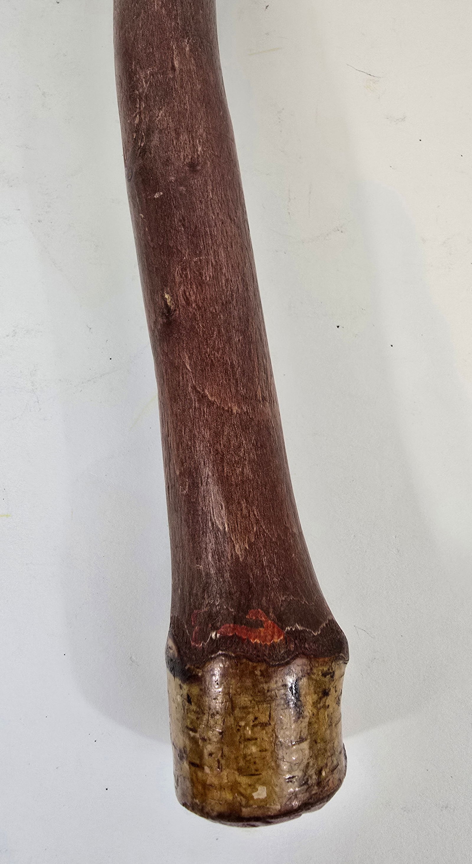 Penobscot root club - 5