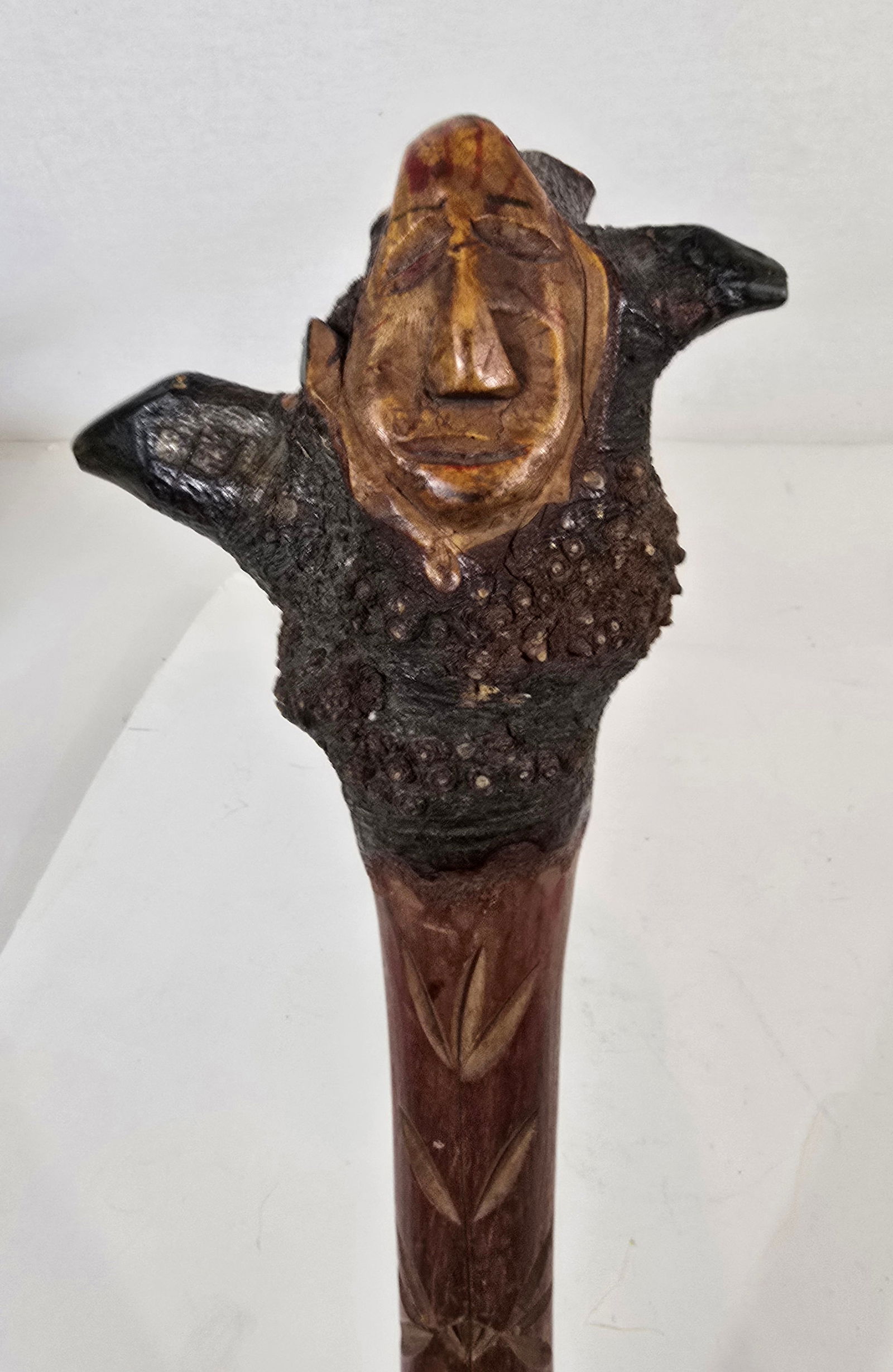 Penobscot root club - 6