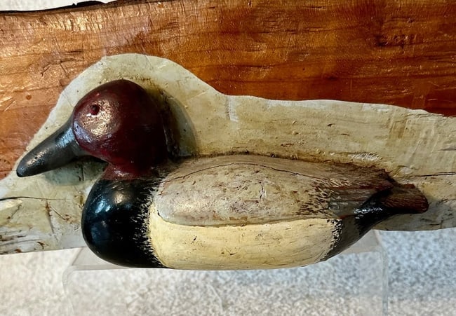 Canvasback Duck Carving in Log Signed - 2
