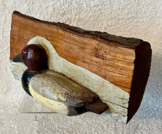 Canvasback Duck Carving in Log Signed - 3