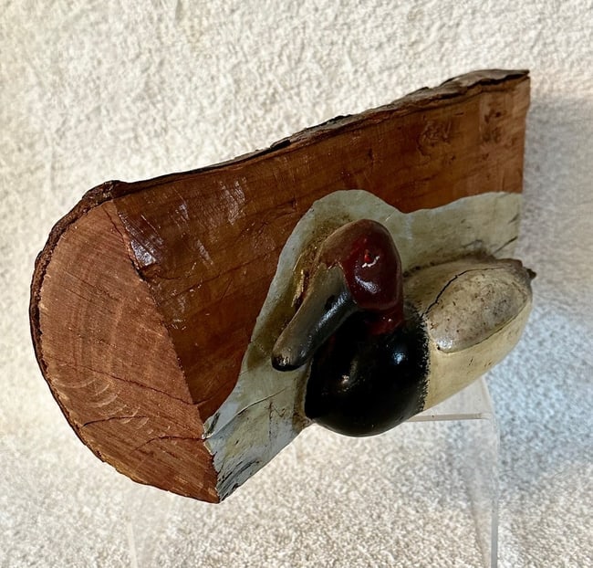 Canvasback Duck Carving in Log Signed - 4
