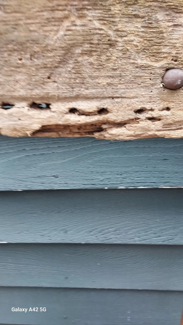 19th Century Whale Weathervane Copper Wood 30" New England - 2