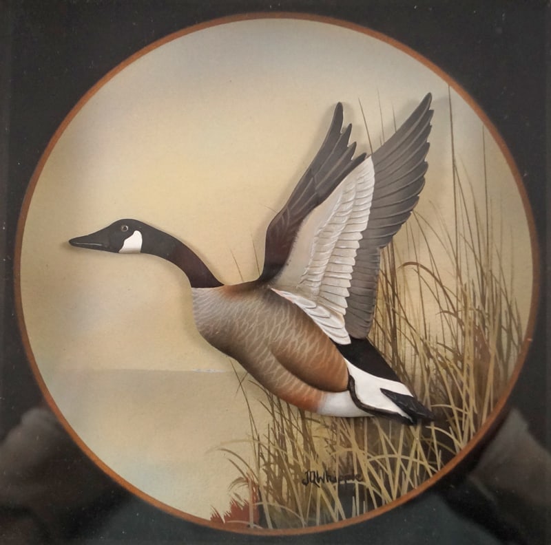 Canada Goose Diorama by J.Q. Whipple - 2