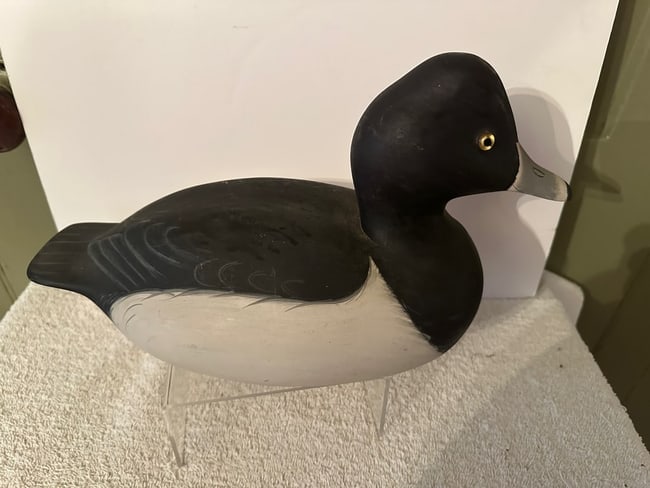 Bufflehead/Ring Neck Duck Decoy: A Bufflehead or Ring Neck Duck Decoy (can’t decide which it is!) with great paint and form. The decoy is about 12 ½” from head to tail and 6 ¾” high at the head; the body