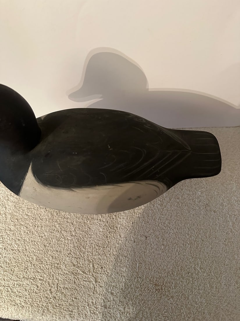 Bufflehead/Ring Neck Duck Decoy - 4
