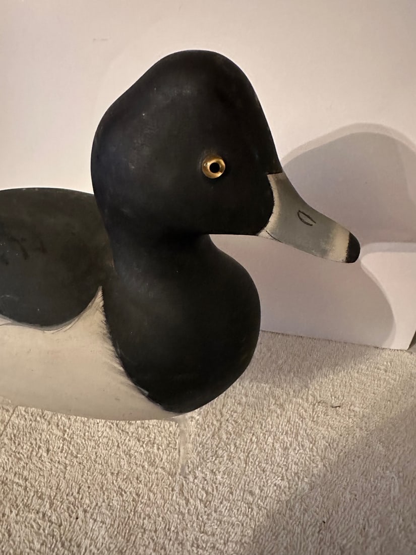 Bufflehead/Ring Neck Duck Decoy - 6