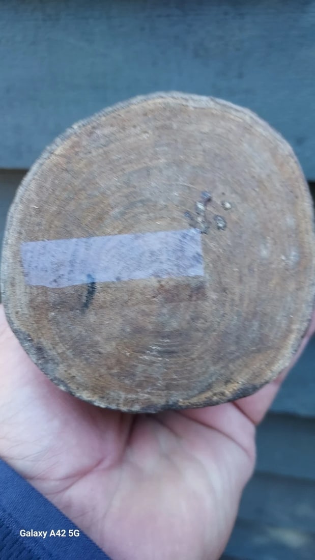 Antique Wood Carved Folk Art American Indian Face Elm - 4