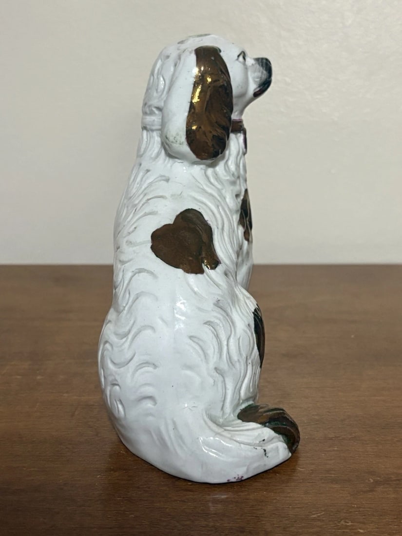 Staffordshire Spaniel Dog - 2