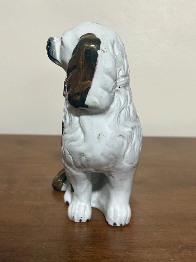 Staffordshire Spaniel Dog - 4