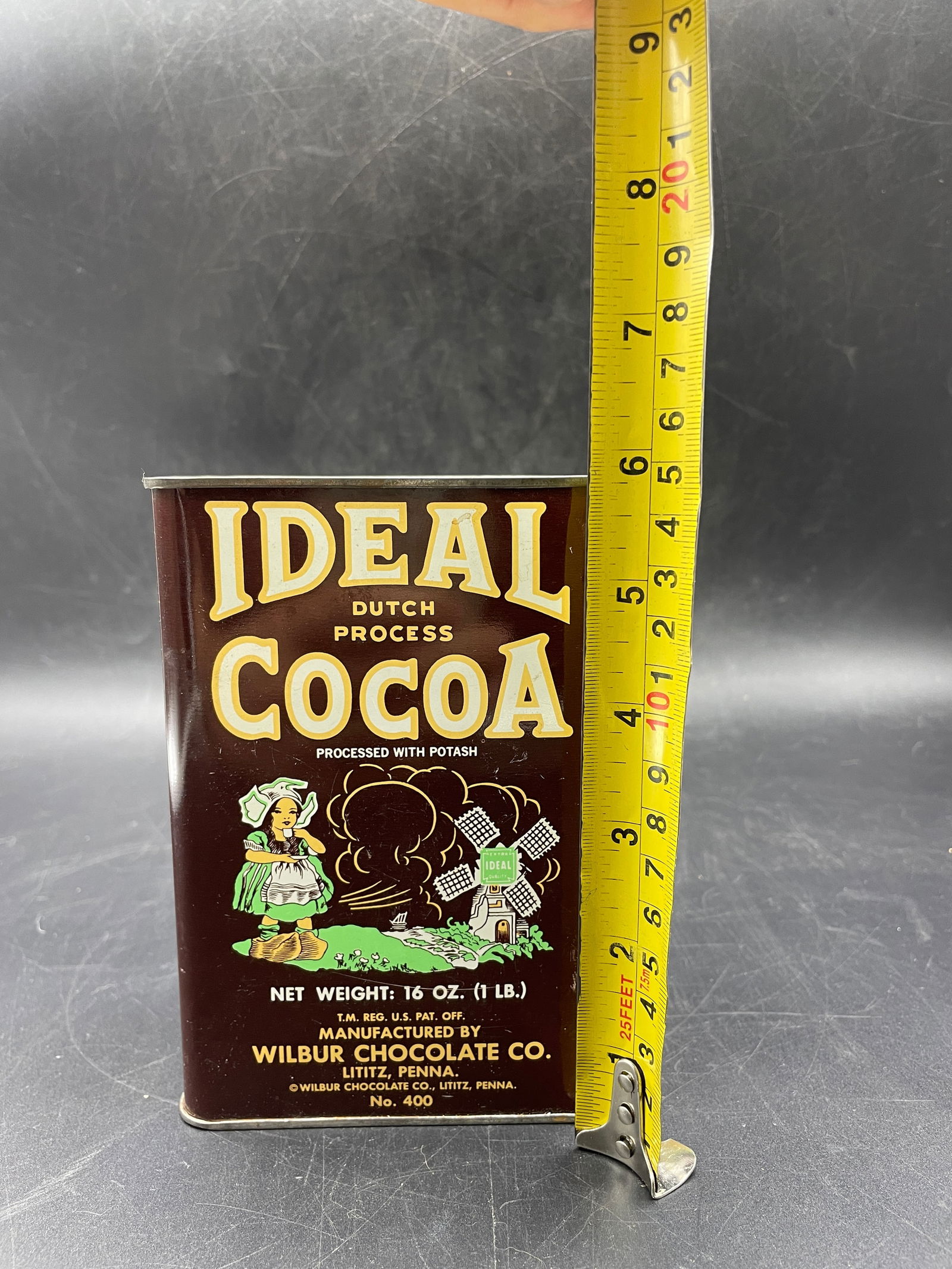 Old Flocked Lion 12" - 8